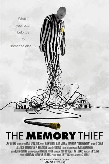 The Memory Thief